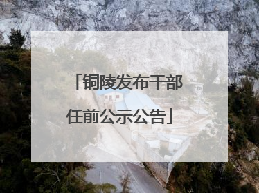 铜陵发布干部任前公示公告