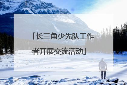 长三角少先队工作者开展交流活动