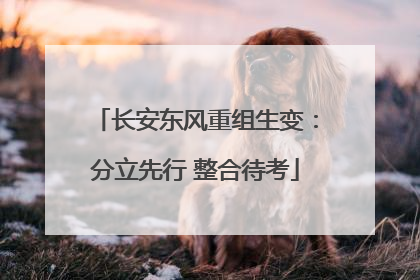 长安东风重组生变：分立先行 整合待考