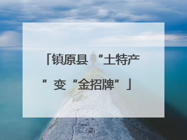 镇原县 “土特产”变“金招牌”
