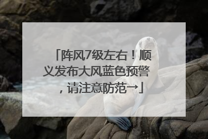 阵风7级左右！顺义发布大风蓝色预警，请注意防范→