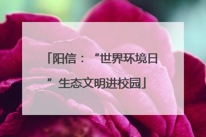 阳信：“世界环境日”生态文明进校园