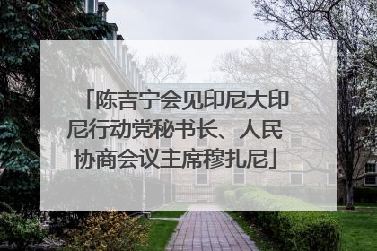 陈吉宁会见印尼大印尼行动党秘书长、人民协商会议主席穆扎尼