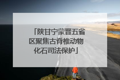 陕甘宁蒙晋五省区聚焦古脊椎动物化石司法保护