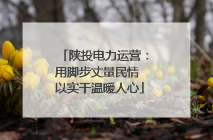 陕投电力运营：用脚步丈量民情 以实干温暖人心