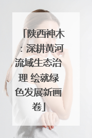 陕西神木：深耕黄河流域生态治理 绘就绿色发展新画卷