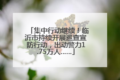 集中行动继续！临沂市持续开展巡查宣防行动，出动警力1.75万人……