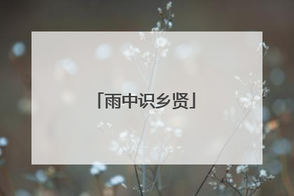 雨中识乡贤