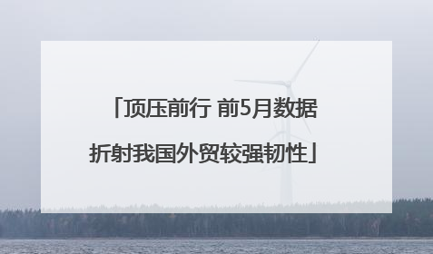 顶压前行 前5月数据折射我国外贸较强韧性