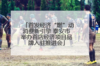 首发经济“燃”动消费新引擎 泰安市举办首店经济项目品牌入驻推进会