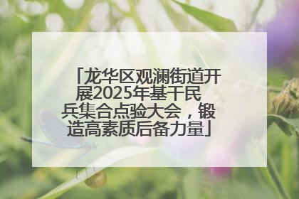 龙华区观澜街道开展2025年基干民兵集合点验大会，锻造高素质后备力量