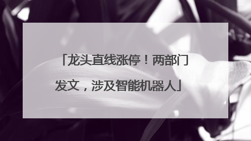 龙头直线涨停！两部门发文，涉及智能机器人
