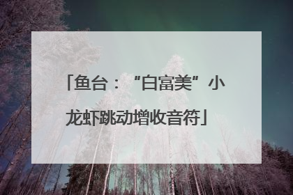 鱼台：“白富美”小龙虾跳动增收音符