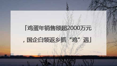 鸡蛋年销售额超2000万元，国企白领返乡抓“鸡”遇
