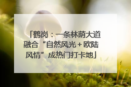 鹤岗：一条林荫大道融合“自然风光＋欧陆风情”成热门打卡地