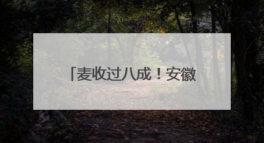 麦收过八成！安徽夏粮有望再迎丰收