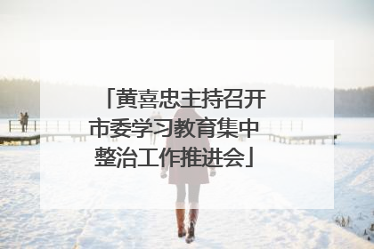 黄喜忠主持召开市委学习教育集中整治工作推进会