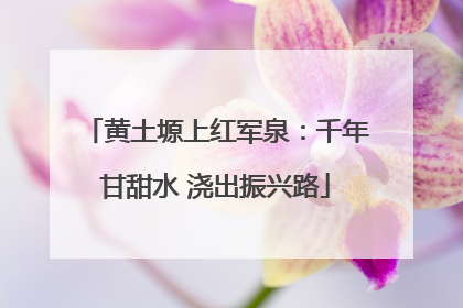 黄土塬上红军泉：千年甘甜水 浇出振兴路