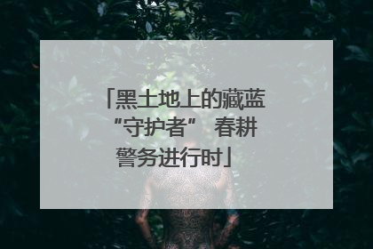 黑土地上的藏蓝“守护者” 春耕警务进行时