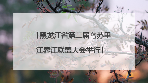 黑龙江省第二届乌苏里江界江联盟大会举行