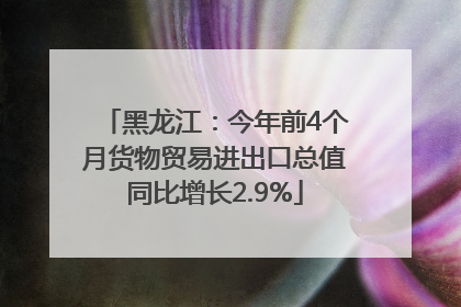 黑龙江：今年前4个月货物贸易进出口总值同比增长2.9%