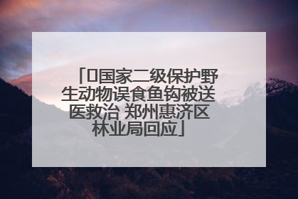 ﻿国家二级保护野生动物误食鱼钩被送医救治 郑州惠济区林业局回应
