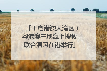 （粤港澳大湾区）粤港澳三地海上搜救联合演习在港举行