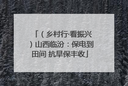 （乡村行·看振兴）山西临汾：保电到田间 抗旱保丰收