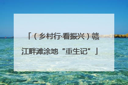 （乡村行·看振兴）赣江畔滩涂地“重生记”