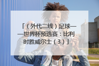 （外代二线）足球——世界杯预选赛：比利时胜威尔士（3）