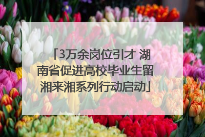 3万余岗位引才 湖南省促进高校毕业生留湘来湘系列行动启动