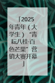 2025年青年（大学生）“青耘八桂·百色芒果”营销大赛开幕