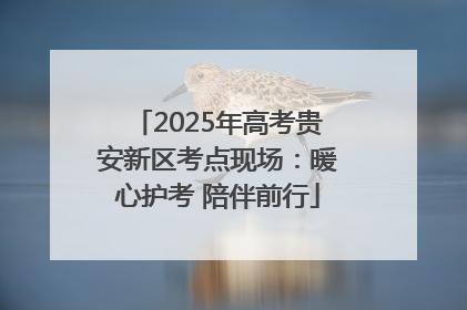 2025年高考贵安新区考点现场：暖心护考 陪伴前行