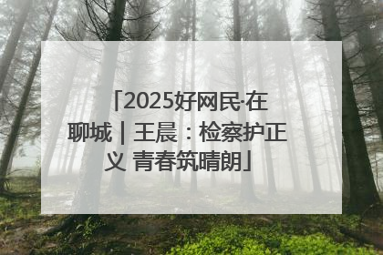 2025好网民·在聊城｜王晨：检察护正义 青春筑晴朗