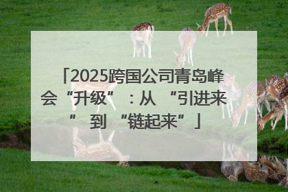 2025跨国公司青岛峰会“升级”：从 “引进来” 到 “链起来”