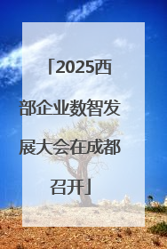 2025西部企业数智发展大会在成都召开