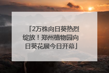 2万株向日葵热烈绽放！郑州植物园向日葵花展今日开幕