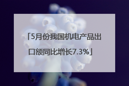 5月份我国机电产品出口额同比增长7.3%