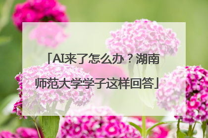 AI来了怎么办？湖南师范大学学子这样回答