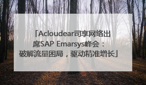 Acloudear司享网络出席SAP Emarsys峰会：破解流量困局，驱动精准增长
